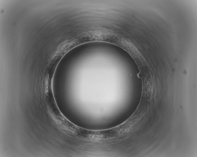 X0000087420694200704201426