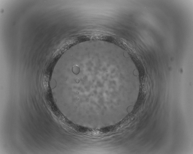 X0000087420695200704201426