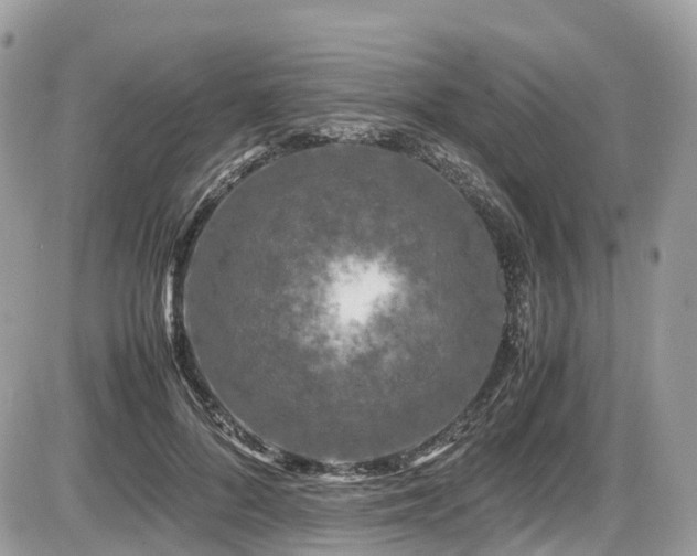 X0000087420696200704201426