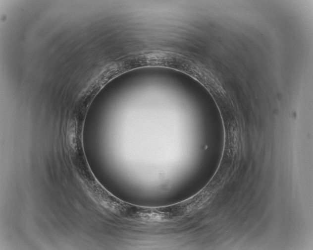 X0000087420698200704201426