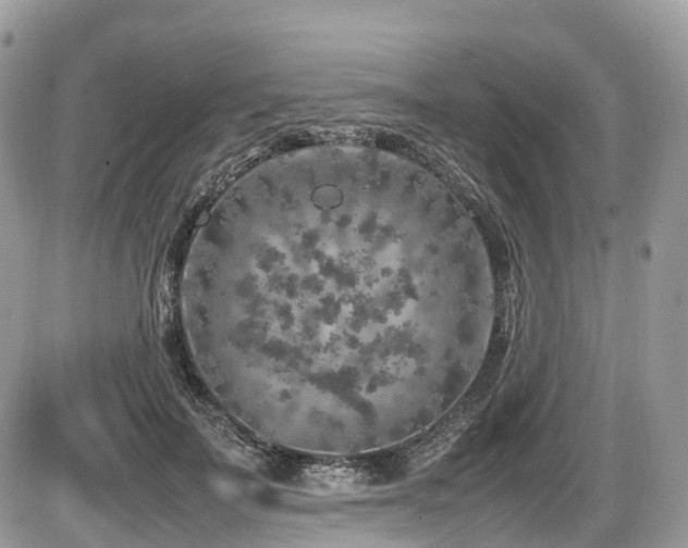 X0000087420699200704201426