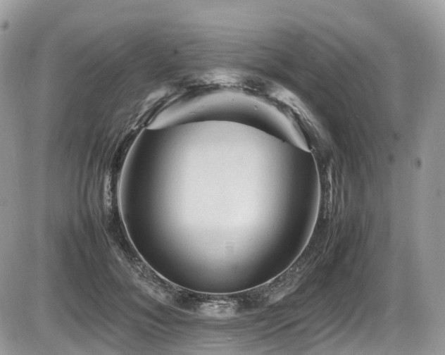 X0000087420700200704201426