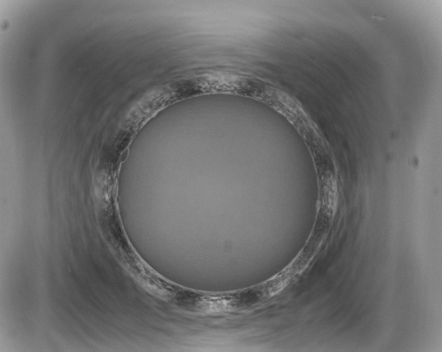 X0000087420701200704201426