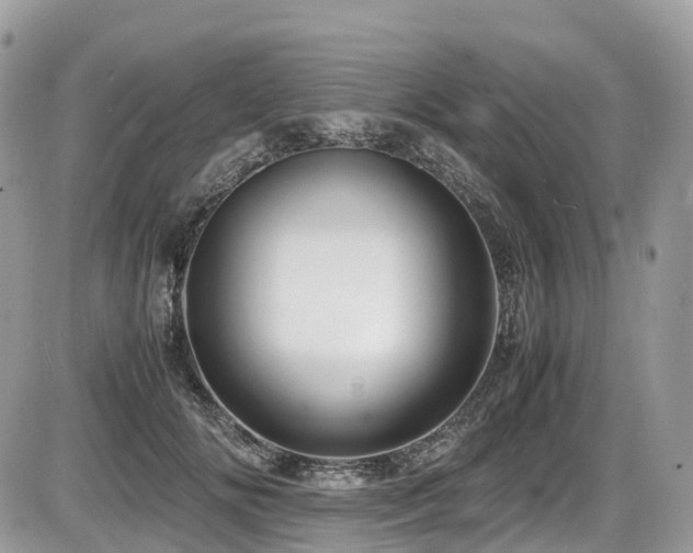 X0000087420702200704201426