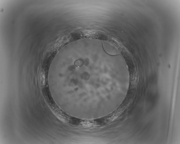 X0000087420703200704201426