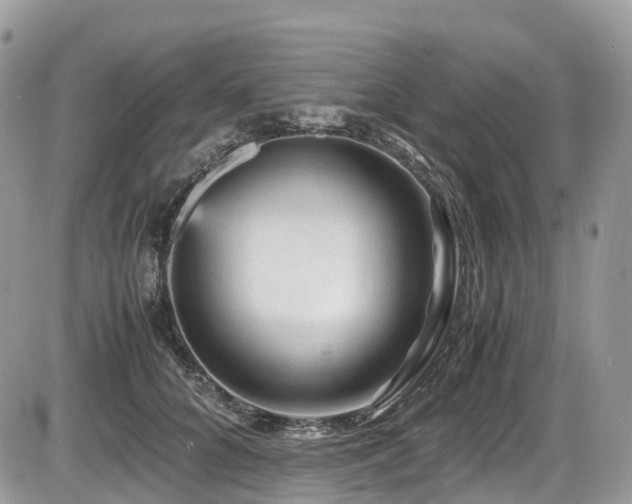 X0000087420704200704201426