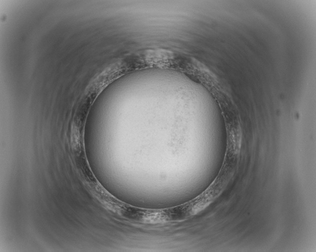 X0000087420705200704201426