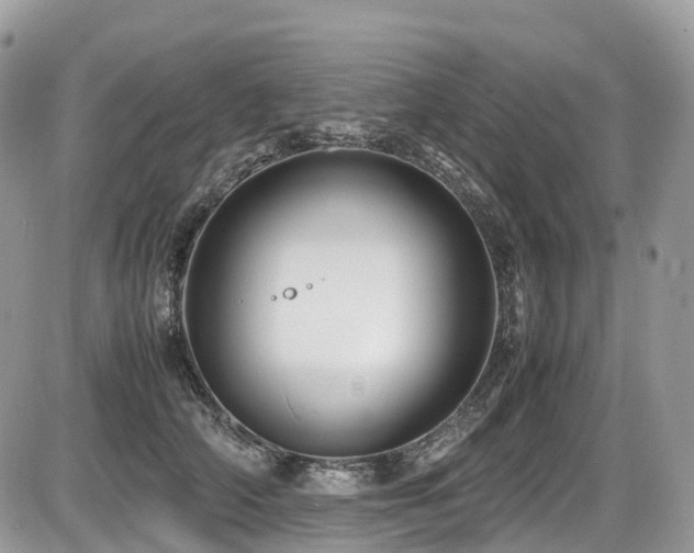 X0000087420706200704201426