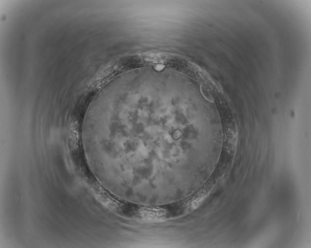 X0000087420707200704201426