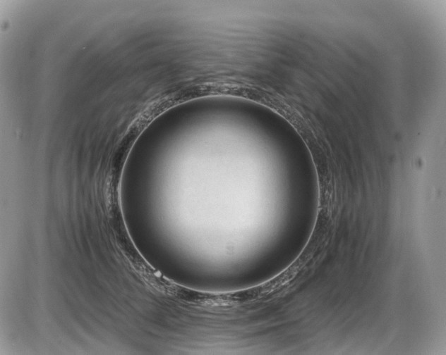 X0000087420708200704201426