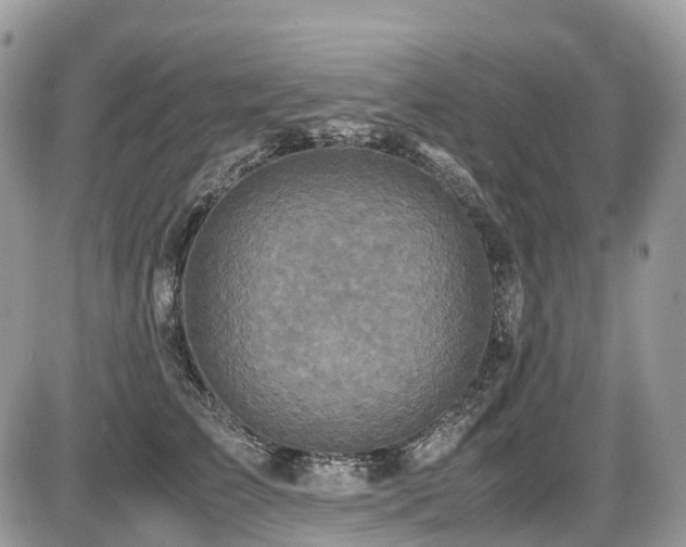 X0000087420709200704201426