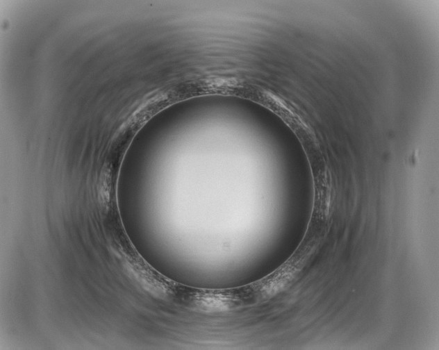 X0000087420710200704201426