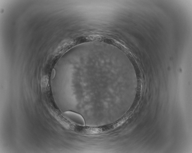 X0000087420711200704201426