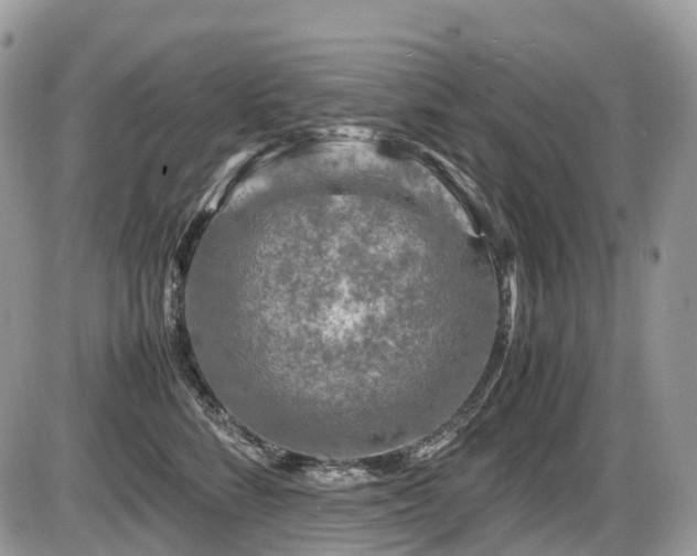 X0000087420712200704201426