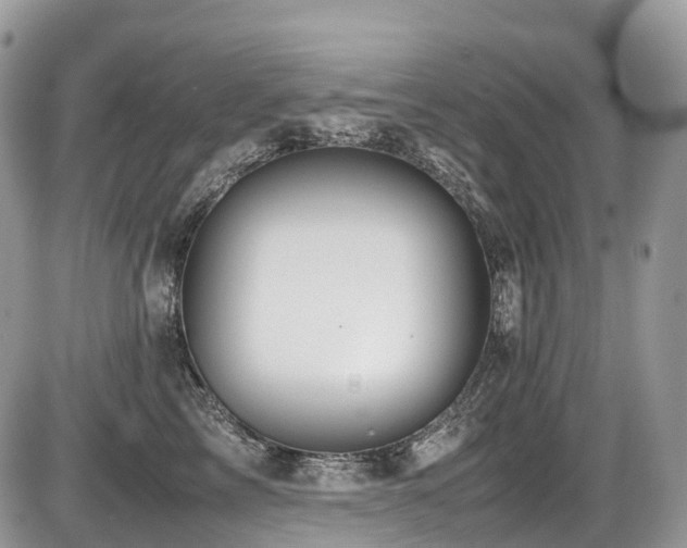 X0000087420713200704201426