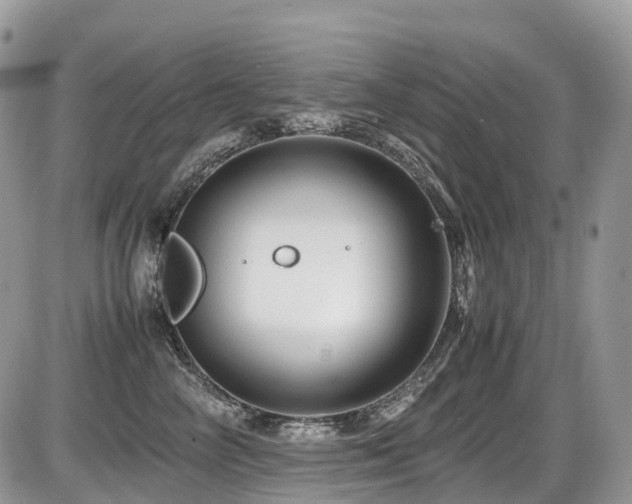 X0000087420714200704201426