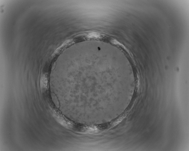 X0000087420715200704201426