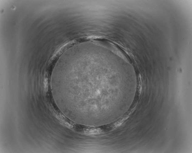 X0000087420716200704201426