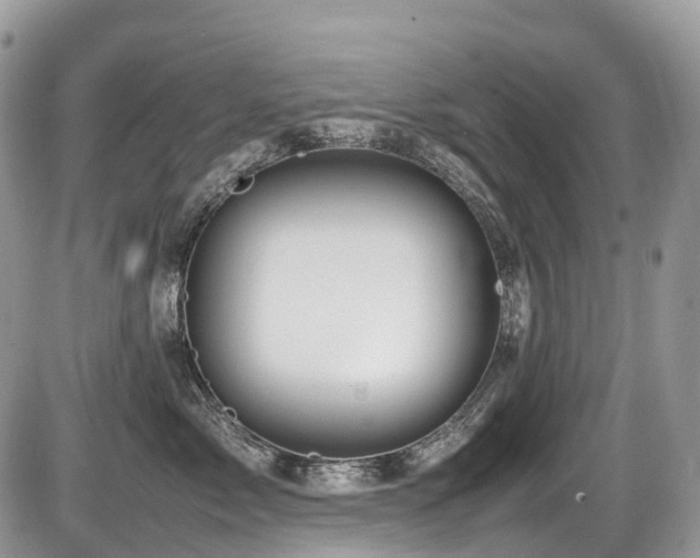 X0000087420717200704201426