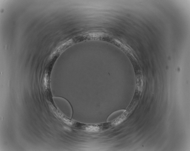 X0000087420718200704201426