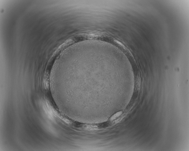 X0000087420719200704201426