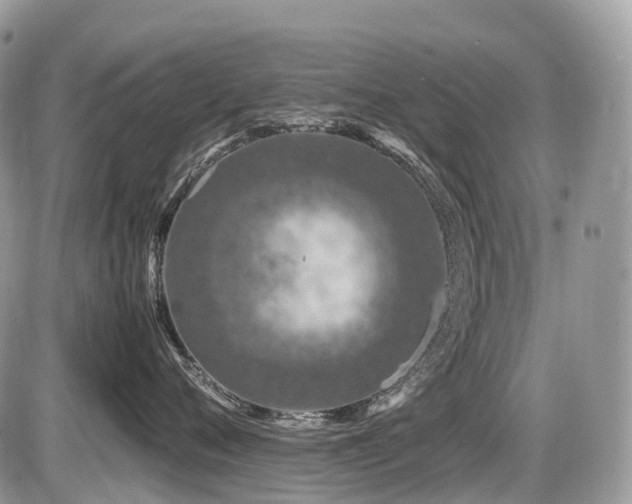 X0000087420720200704201426