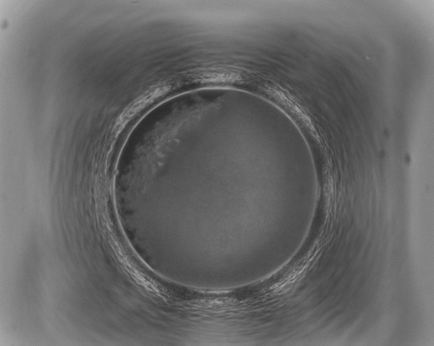 X0000087420721200704201425