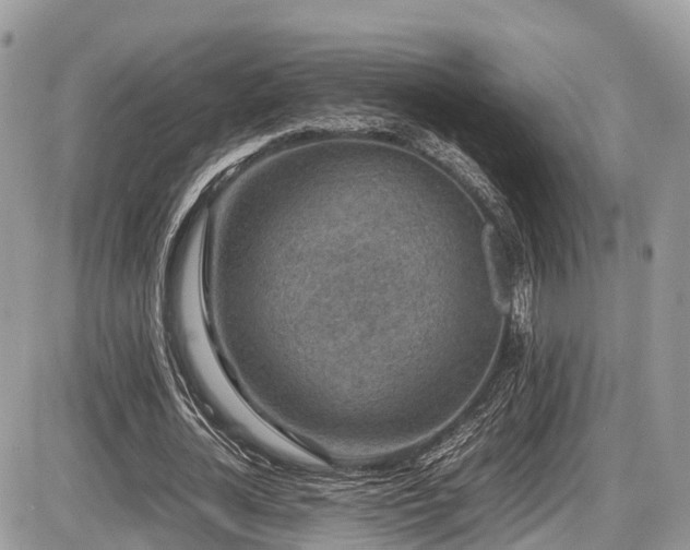 X0000087420724200704201425