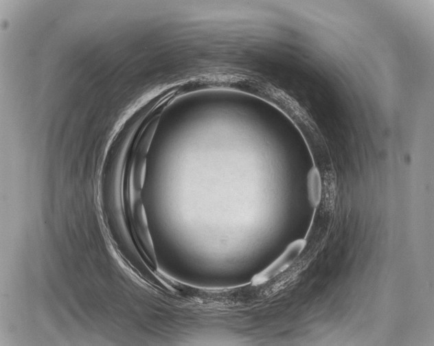 X0000087420726200704201425