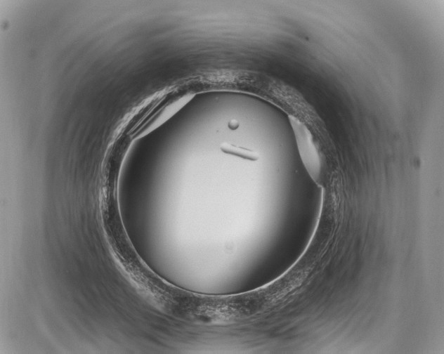 X0000087420728200704201425