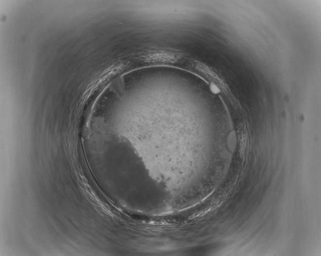 X0000087420729200704201425