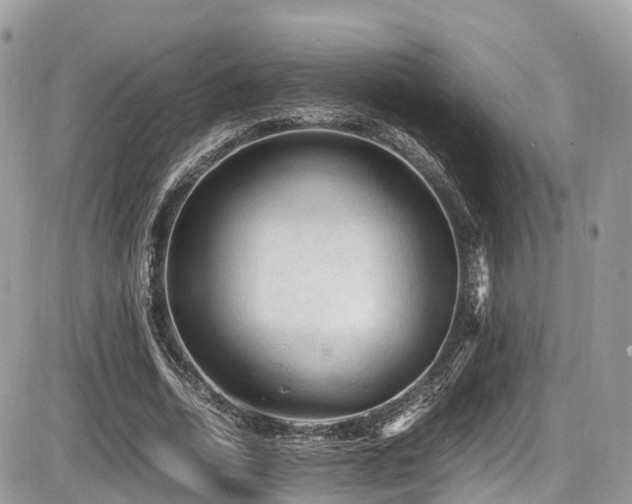 X0000087420730200704201425