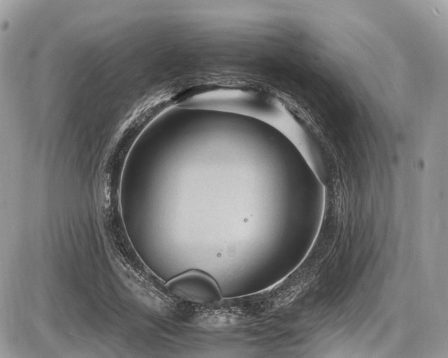 X0000087420731200704201425