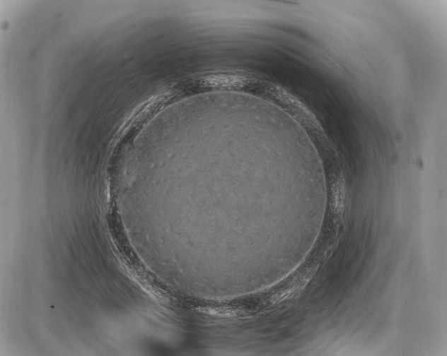 X0000087420733200704201425