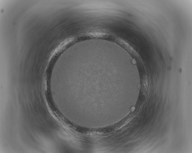 X0000087420734200704201425