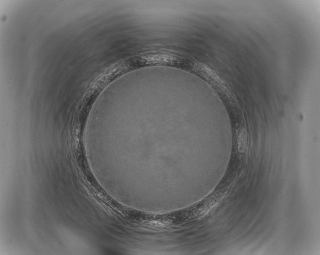 X0000087420737200704201425