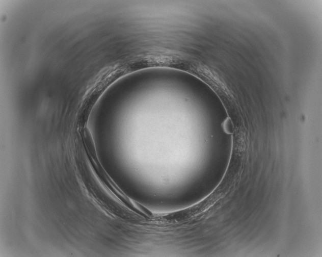 X0000087420738200704201425