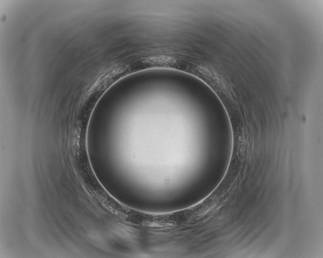 X0000087420739200704201425