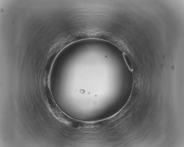 X0000087420740200704201425