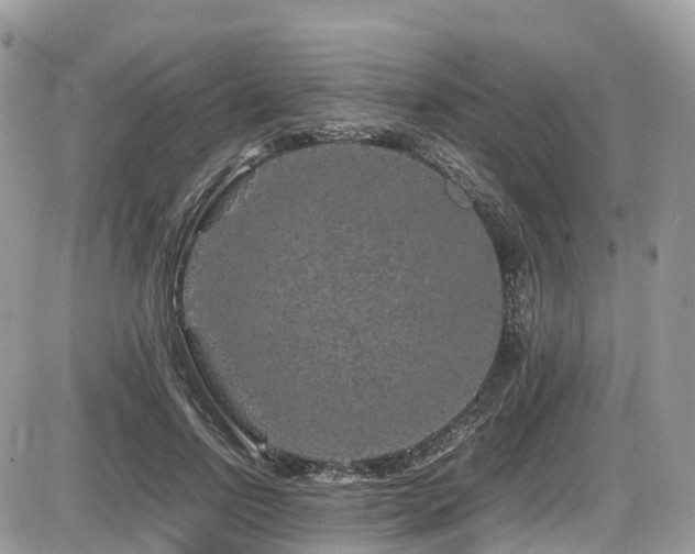 X0000087420742200704201425