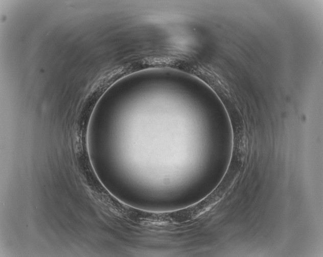 X0000087420743200704201425