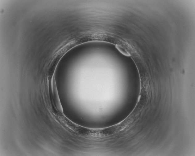 X0000087420744200704201425