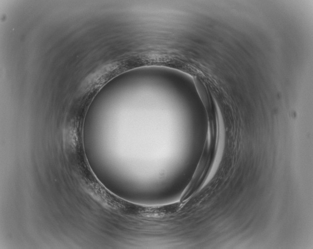 X0000087420746200704201425