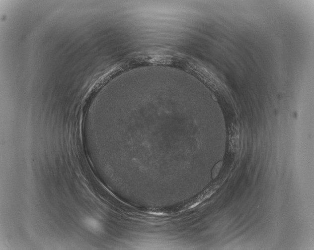 X0000087420748200704201425