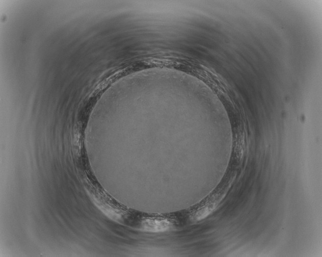 X0000087420749200704201425