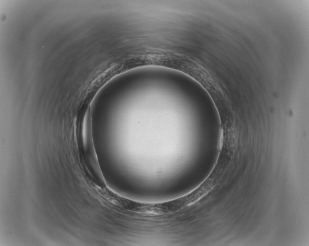 X0000087420750200704201425