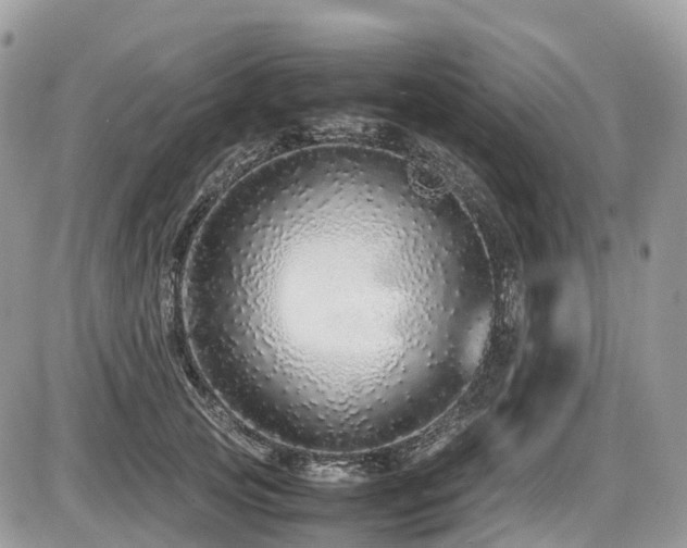 X0000087420753200704201425