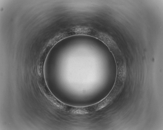 X0000087420755200704201425