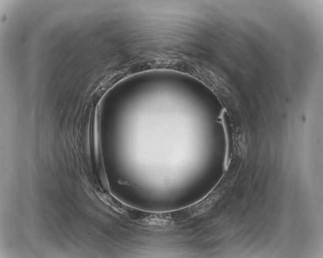 X0000087420756200704201425