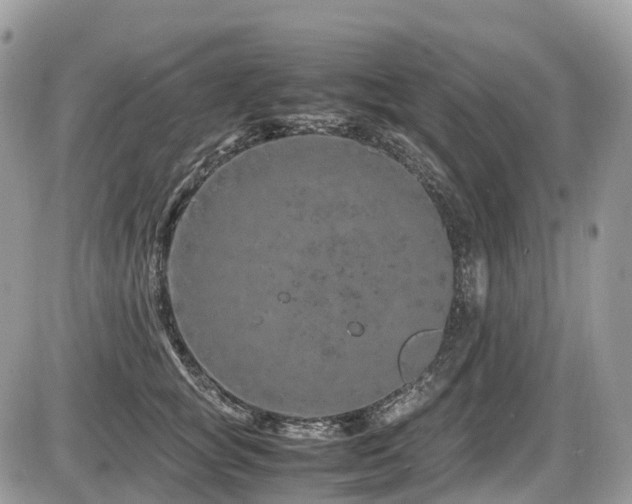 X0000087420757200704201425